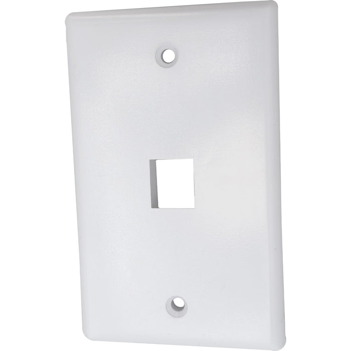 1002 Single Gang RJ 45 Wall Plate